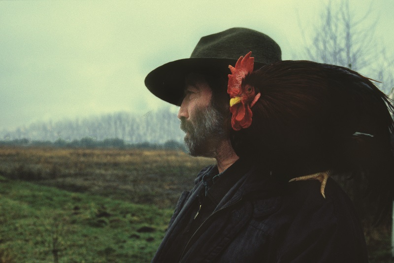 HOMMAGE PENGOV in memory of Tomaž Pengov – Kino Šiška